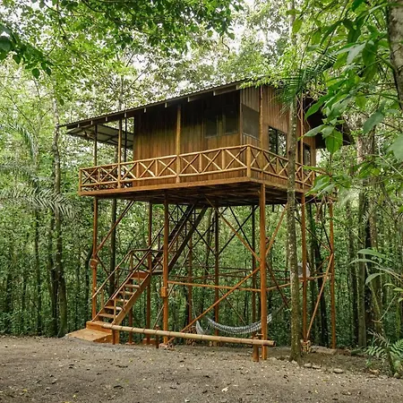 Tree Houses Hotel Costa Rica Florencia Exterior photo