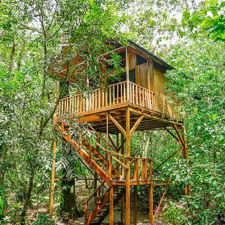 Tree Houses Hotel Costa Rica Florencia Exterior photo