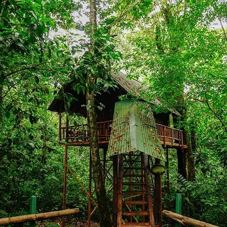 Tree Houses Hotel Costa Rica Florencia Exterior photo