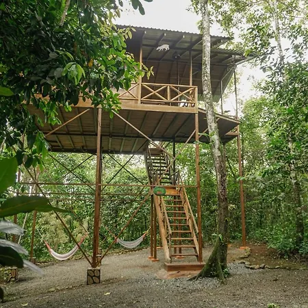 Tree Houses Hotel Costa Rica Florencia Exterior photo