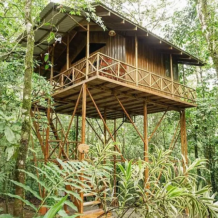 Tree Houses Hotel Costa Rica Florencia Exterior photo