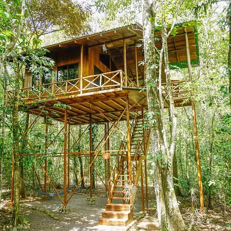 Tree Houses Hotel Costa Rica Florencia Exterior photo