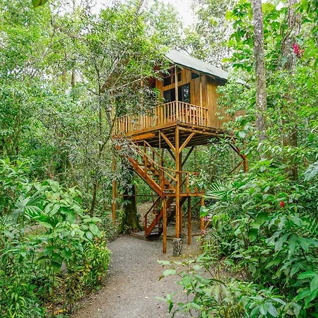 Tree Houses Hotel Costa Rica Florencia Exterior photo