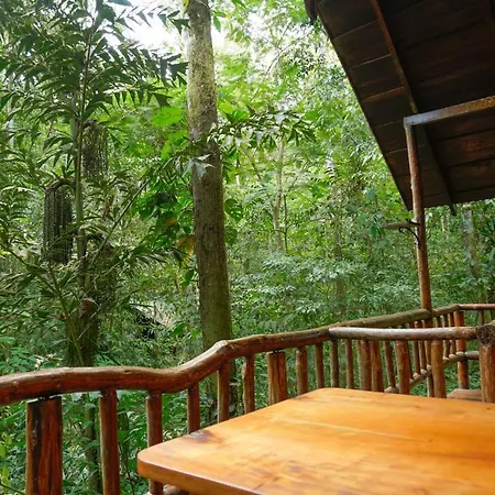 Tree Houses Hotel Costa Rica Florencia Exterior photo