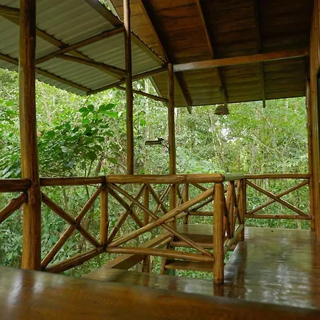 Tree Houses Hotel Costa Rica Florencia Exterior photo