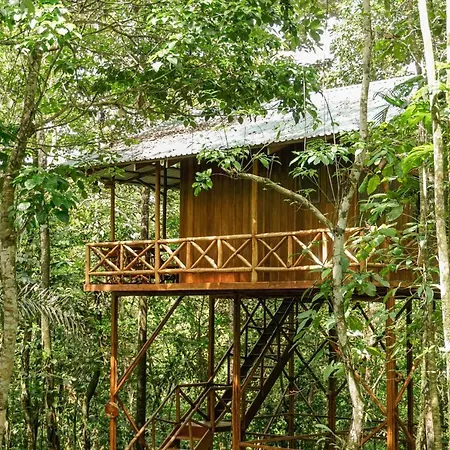 Tree Houses Hotel Costa Rica Florencia Exterior photo
