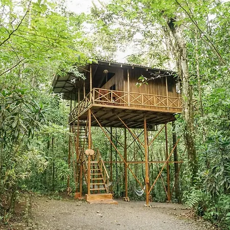 Tree Houses Hotel Costa Rica Florencia Exterior photo