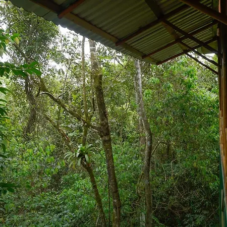Tree Houses Hotel Costa Rica Florencia Exterior photo