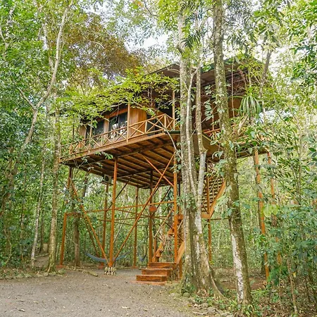 Tree Houses Hotel Costa Rica Florencia Exterior photo