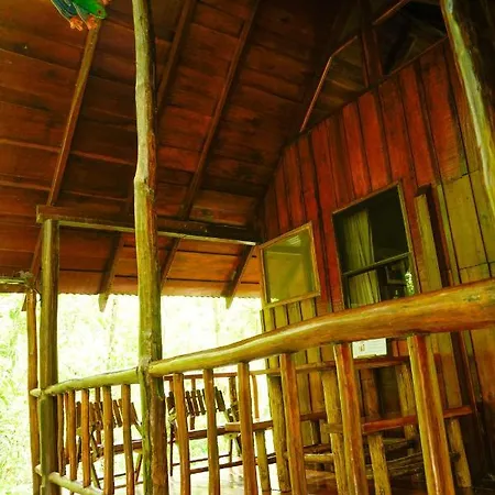 Tree Houses Hotel Costa Rica Florencia Exterior photo