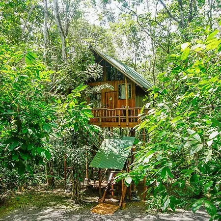 Tree Houses Hotel Costa Rica Florencia Exterior photo