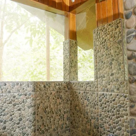 Tree Houses Hotel Costa Rica Florencia Exterior photo