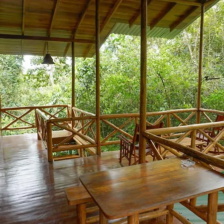 Tree Houses Hotel Costa Rica Florencia Exterior photo