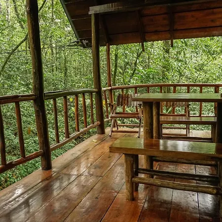 Tree Houses Hotel Costa Rica Florencia Exterior photo