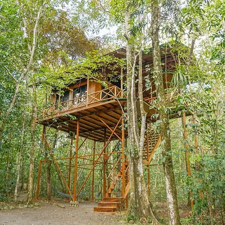 Tree Houses Hotel Costa Rica Florencia Exterior photo