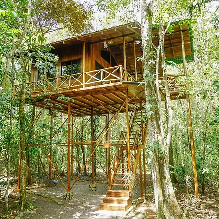 Tree Houses Hotel Costa Rica Florencia Exterior photo