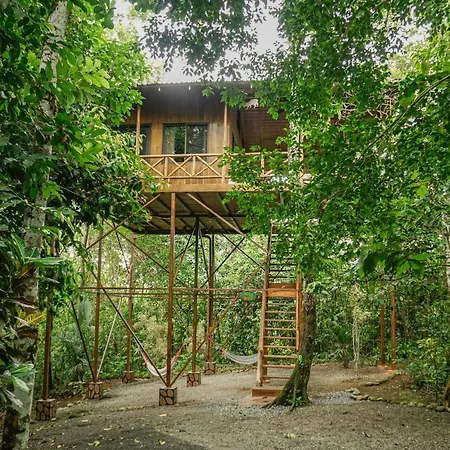 Tree Houses Hotel Costa Rica Florencia Exterior photo