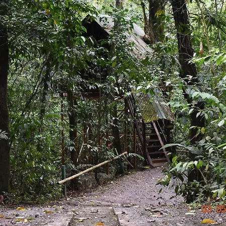 Tree Houses Hotel Costa Rica Florencia Exterior photo