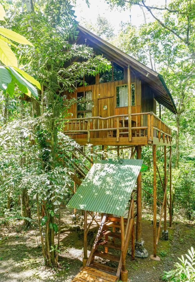 Lodge Tree Costa Rica Florencia