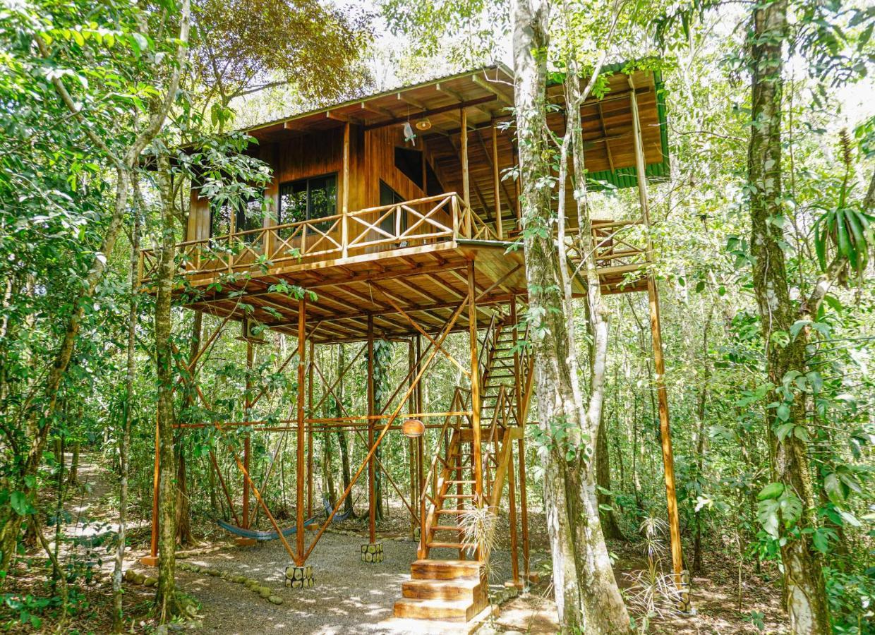 Tree Costa Rica Lodge Florencia
