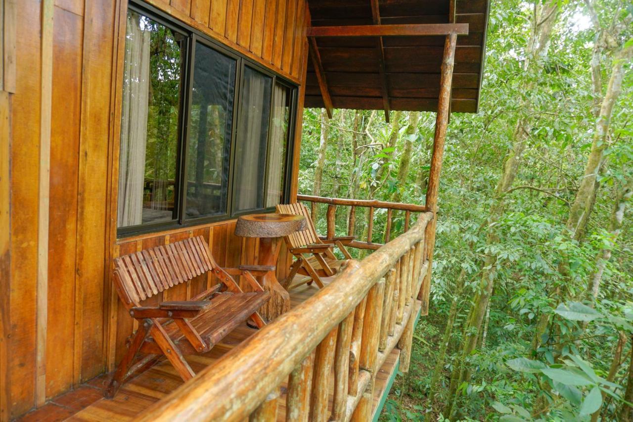 Tree Costa Rica Lodge
