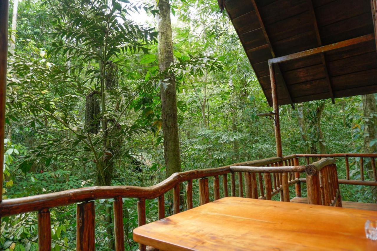 Tree Costa Rica Lodge *