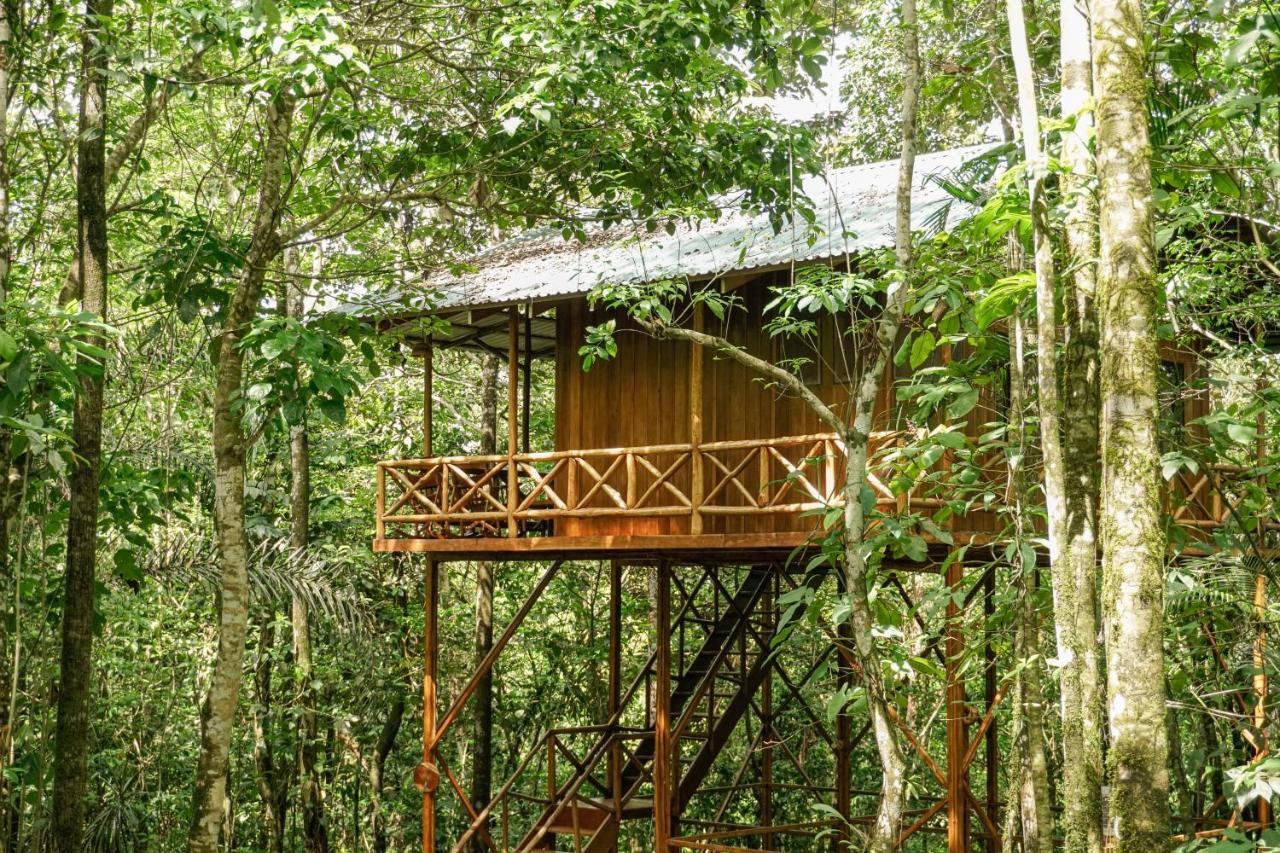 Lodge Tree Costa Rica Florencia