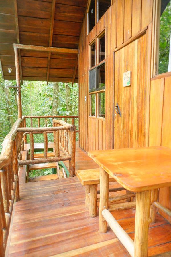 Lodge Tree Costa Rica *