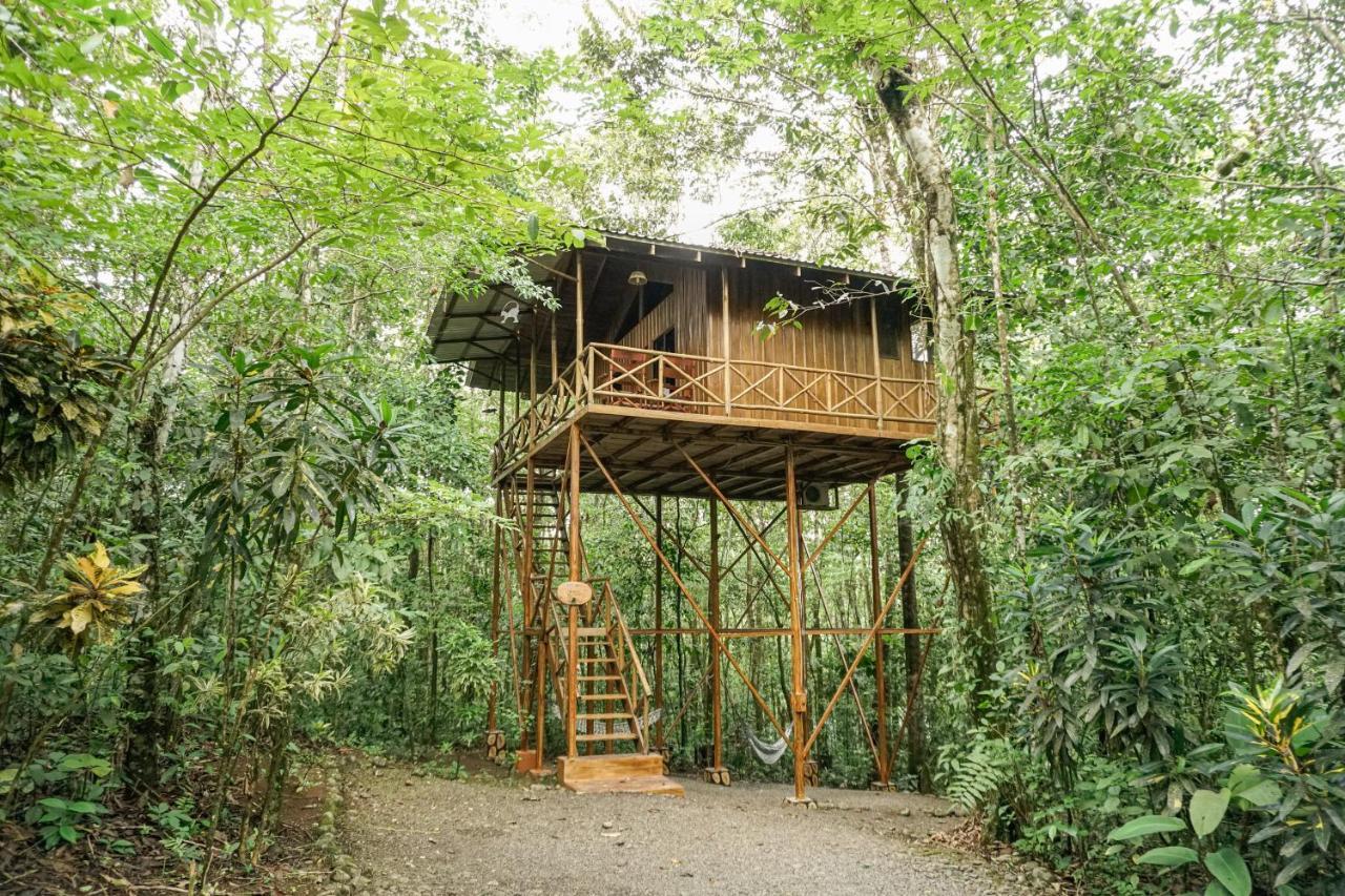 Lodge Tree Costa Rica *