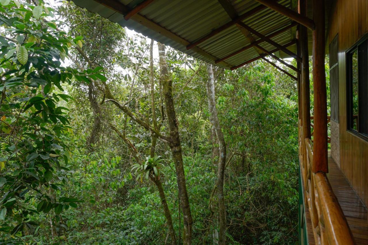 Lodge Tree Costa Rica *
