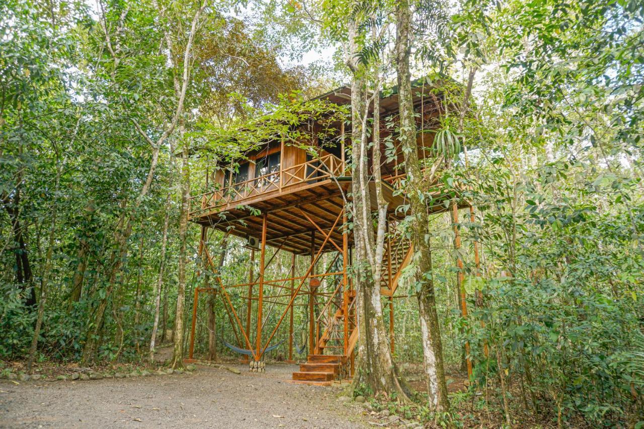 Lodge Tree Costa Rica *