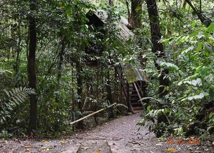 Tree Houses Hotel Costa Rica